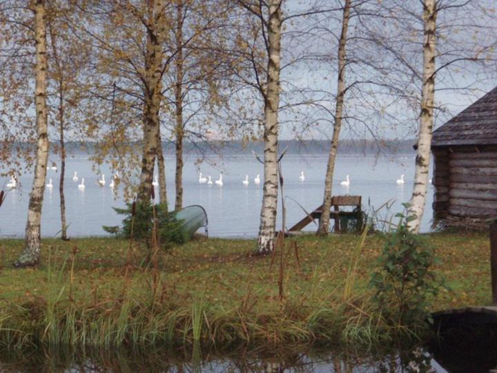 Hiie Talu Pensionat Kahala Eksteriør billede
